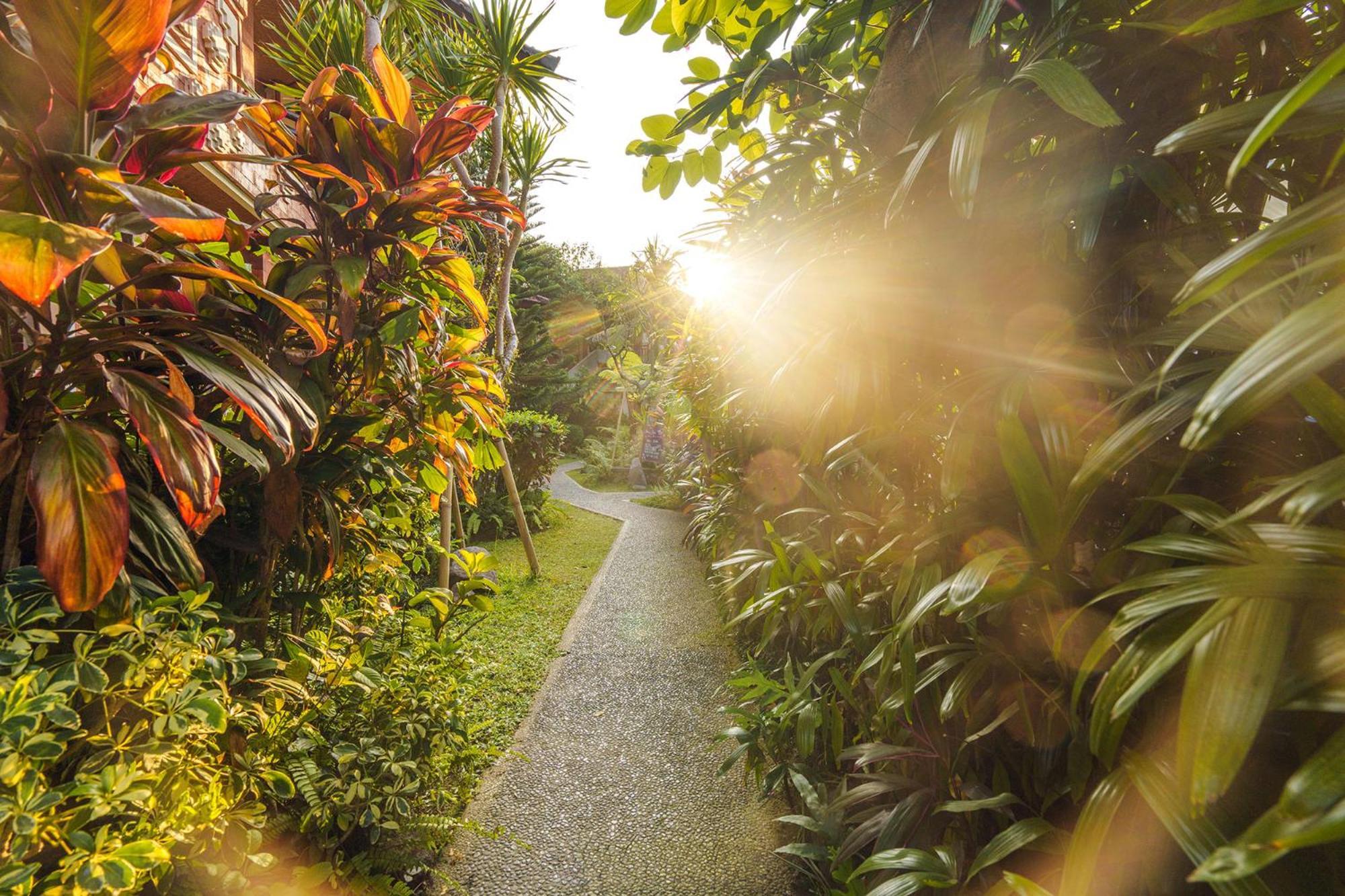Rama Phala Resort & Spa Ubud  Exterior photo